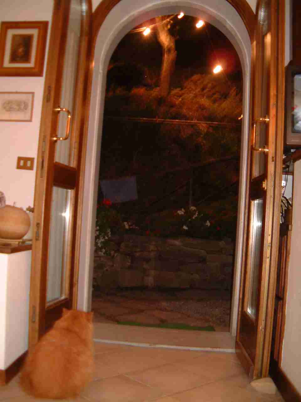  Image name: DSCF0037.JPG 
 width: 960 pixel 
 height: 1280 pixel 
 Size: 44583 bytes 
 Click to enlarge 